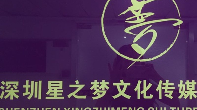 上海VI设计公司服务内容揭秘：从品牌形象到视觉传达