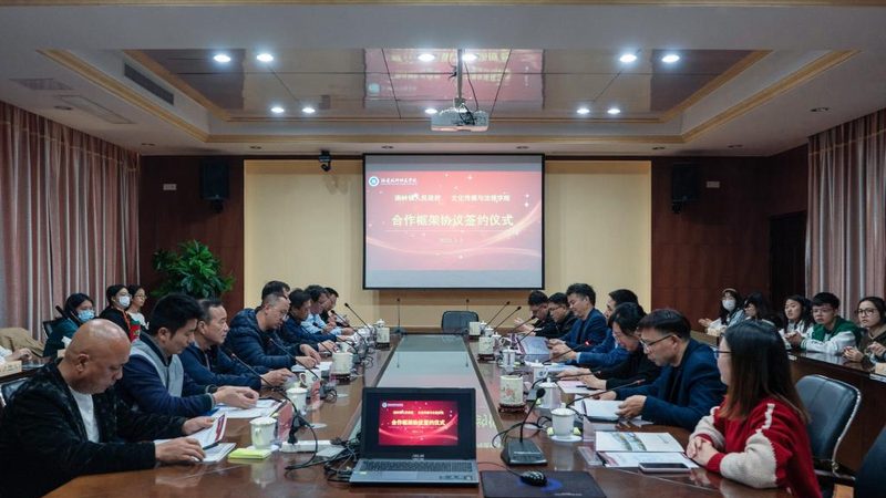 广州本地公关传播案例：深度解析与对比
